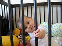 2008_01_26 (2)